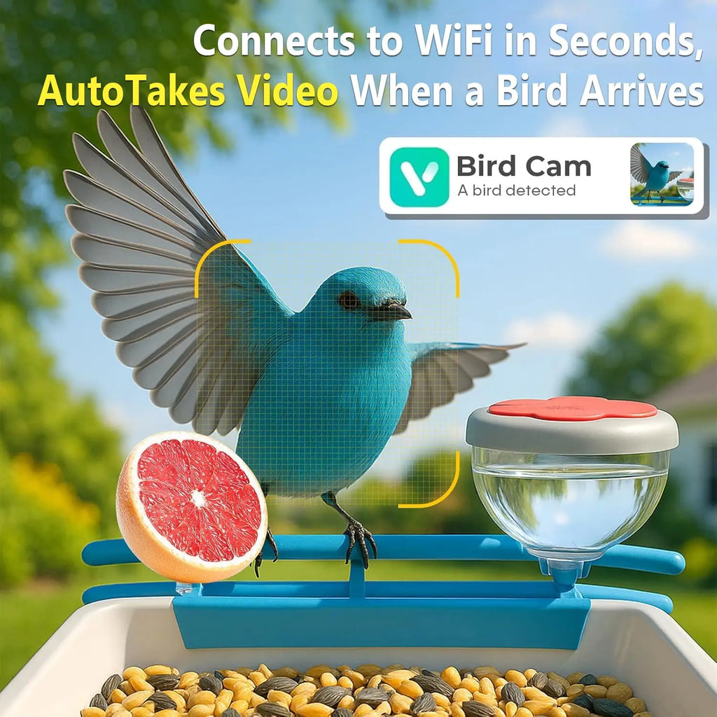 BirdBinge 2K Solar Feeder Cam