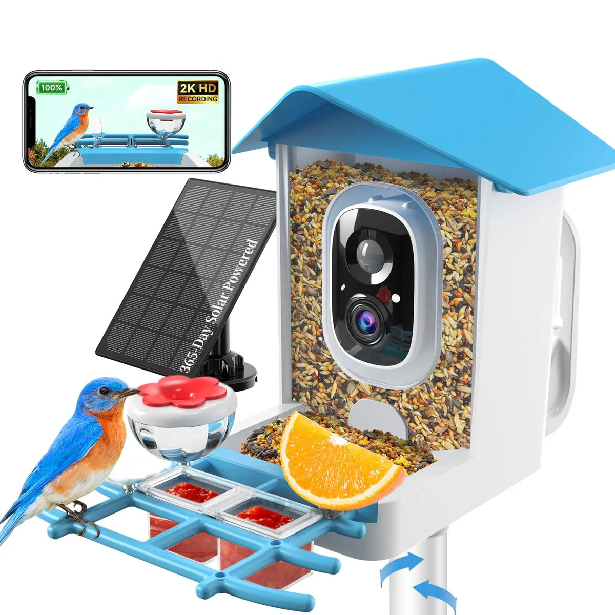 BirdBinge 2K Solar Feeder Cam